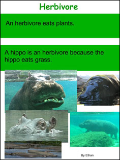 sample of one student's herbivore definition