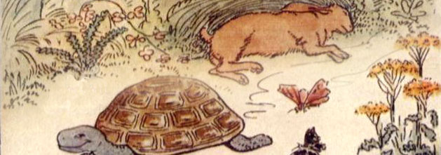 image of hare and tortoise