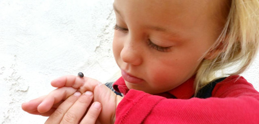 child looking at insect