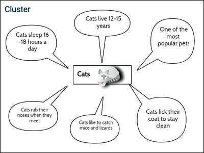 image of cluster organizer for persuade for a pet lesson