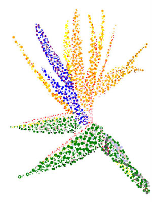 sample of pointillism painting of a Bird of Paradise flower