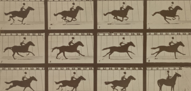 Eadweard Muybridge, The Horse in Motion