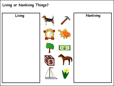 example of template for a living or nonliving sort
