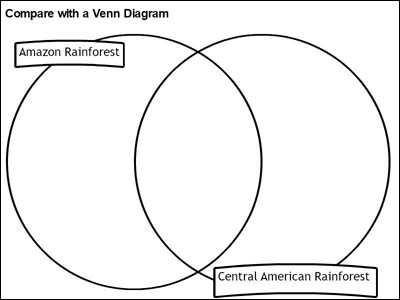sample rainforest venn diagram