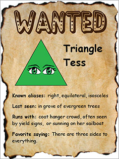 Triangle Wanted Poster student sample